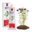 just-kakukkfu-krem-60ml