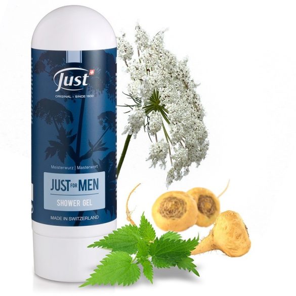  Just For Men tusfürdő és sampon férfiaknak 200ml